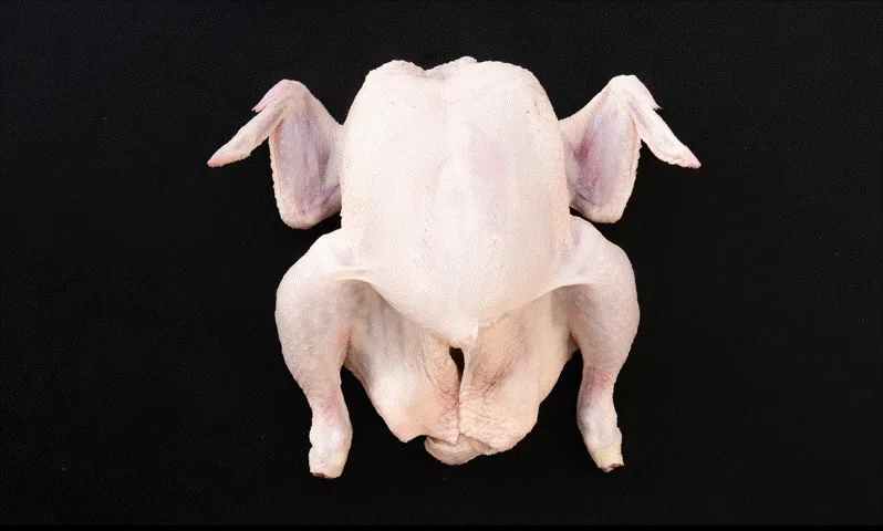 Porcování kuřete